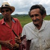 Viñales - místní pěstitelé tabáku