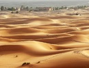 Sahara - pouštní město Erfoud