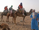 Sahara - výlet na velbloudech