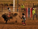 Rodeo - Wyoming